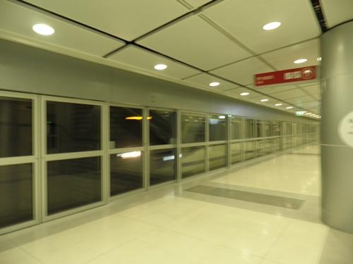 P8020168.JPG